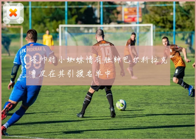 塔帅对小蜘蛛情有独钟巴尔科拉克鲁皮在其引援名单中
